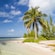 The shoreline of Starfish Point Beach at daytime